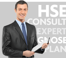 HSE Consult Expert Diagnose Plan