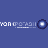 york-potash